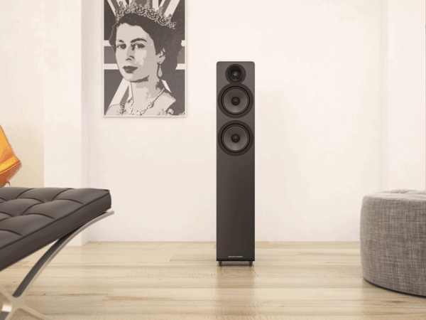 Enceintes Acoustic Energy AE109²