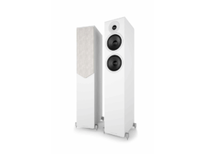 Enceintes Acoustric Energy AE309