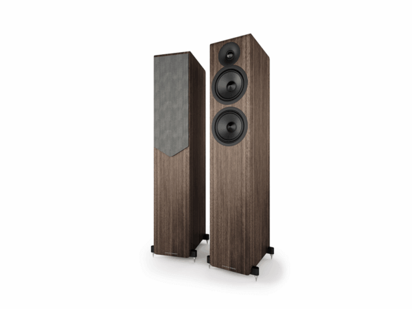 Enceintes Acoustric Energy AE309