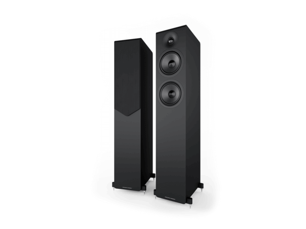 Enceintes Acoustric Energy AE309