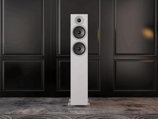 Enceintes Acoustric Energy AE309