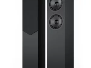 ACOUSTIC ENERGY AE309²