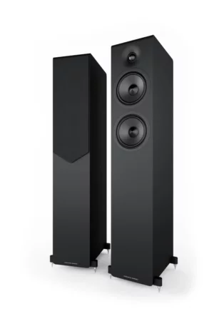 ACOUSTIC ENERGY AE309²